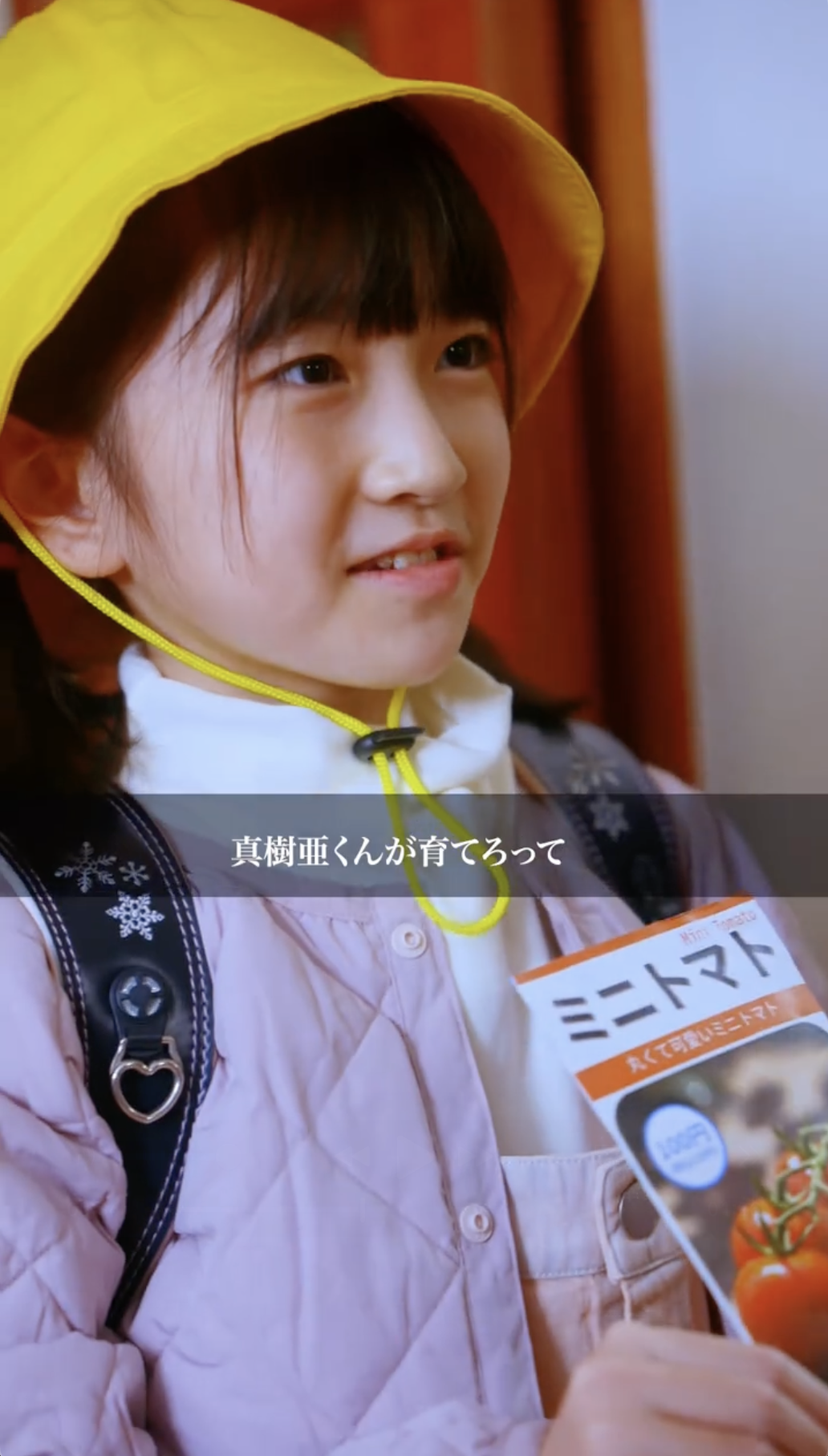 Kagome Vegetable Life 100